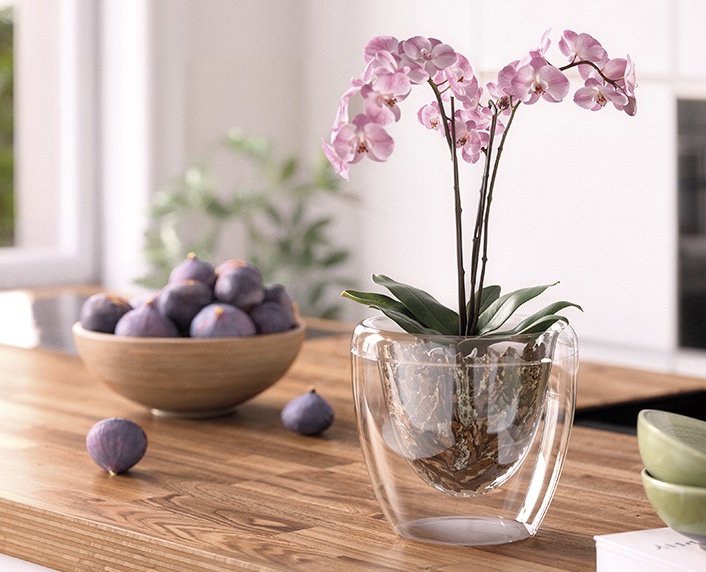 Maceta y portamacetas al mismo tiempo 